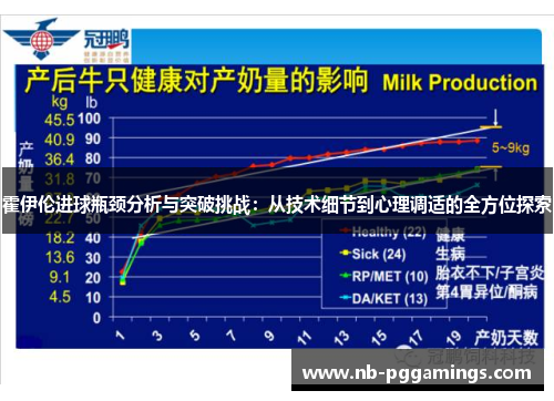 霍伊伦进球瓶颈分析与突破挑战：从技术细节到心理调适的全方位探索